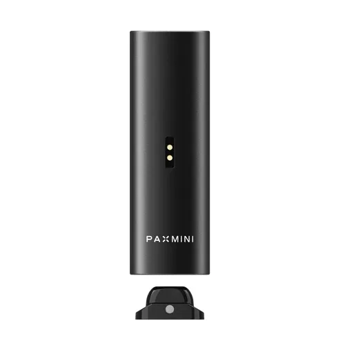 PAX Mini 2