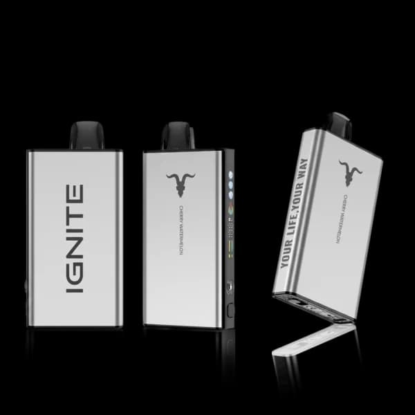 IGNITE V-ICE 40K - Cherry Watermelon Iced