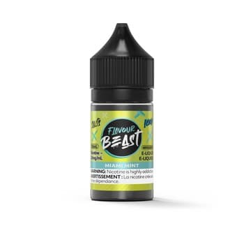 Flavour Beast - Miami Mint Iced 30ml Salt